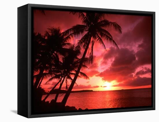Palms And Sunset at Tumon Bay, Guam-Bill Bachmann-Framed Premier Image Canvas
