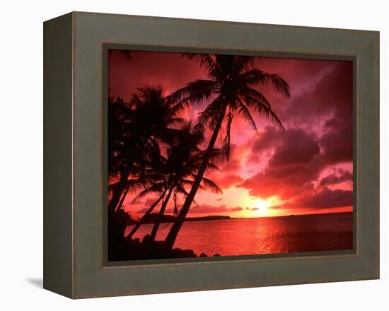 Palms And Sunset at Tumon Bay, Guam-Bill Bachmann-Framed Premier Image Canvas