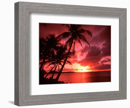 Palms And Sunset at Tumon Bay, Guam-Bill Bachmann-Framed Photographic Print