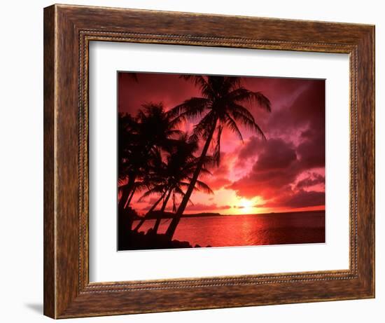 Palms And Sunset at Tumon Bay, Guam-Bill Bachmann-Framed Photographic Print