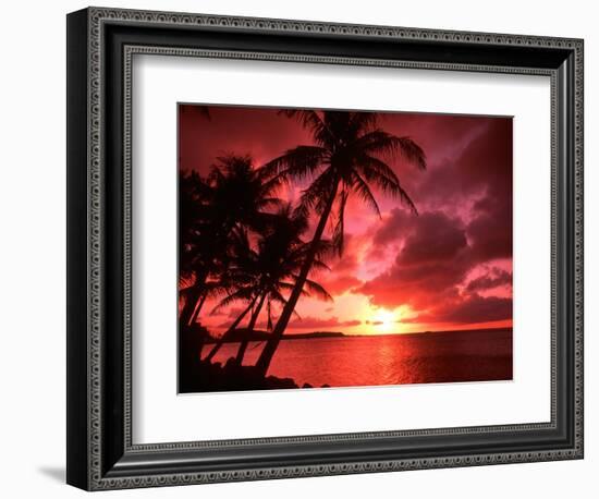 Palms And Sunset at Tumon Bay, Guam-Bill Bachmann-Framed Photographic Print