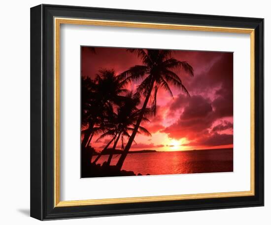 Palms And Sunset at Tumon Bay, Guam-Bill Bachmann-Framed Photographic Print