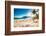 Palms and Two Brothers Mountain on Ipanema Beach in Rio De Janeiro. Brazil.-Aleksandar Todorovic-Framed Photographic Print