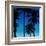 Palms Black on Blue II-Mia Jensen-Framed Art Print