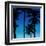 Palms Black on Blue II-Mia Jensen-Framed Art Print