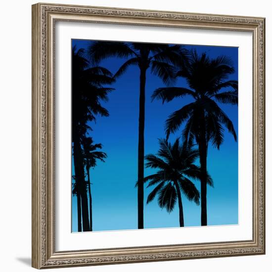 Palms Black on Blue II-Mia Jensen-Framed Art Print