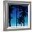 Palms Black on Blue II-Mia Jensen-Framed Art Print