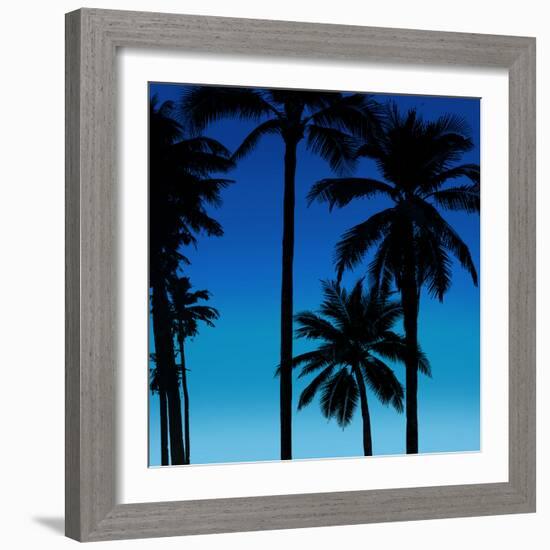 Palms Black on Blue II-Mia Jensen-Framed Art Print