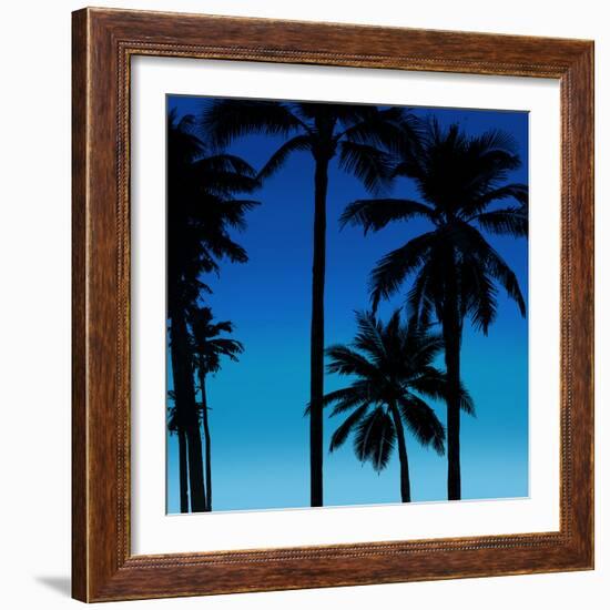 Palms Black on Blue II-Mia Jensen-Framed Art Print