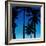 Palms Black on Blue II-Mia Jensen-Framed Art Print