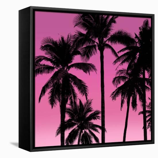 Palms Black on Pink I-Mia Jensen-Framed Stretched Canvas