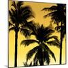 Palms Black on Yellow II-Mia Jensen-Mounted Art Print