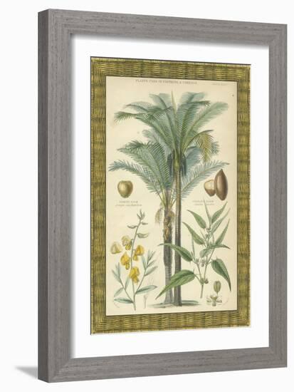 Palms in Bamboo I-Vision Studio-Framed Art Print