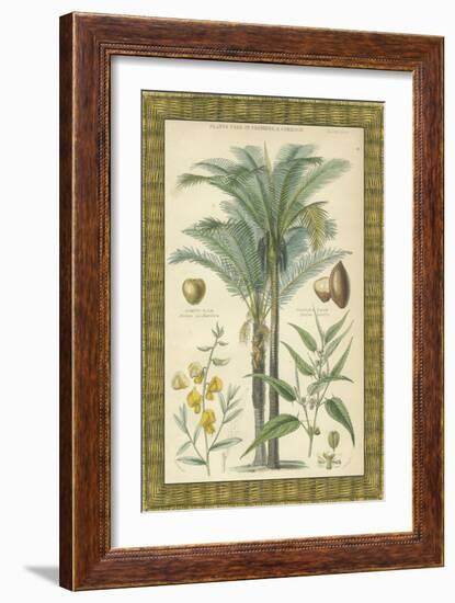 Palms in Bamboo I-Vision Studio-Framed Art Print