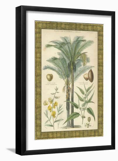 Palms in Bamboo I-Vision Studio-Framed Art Print