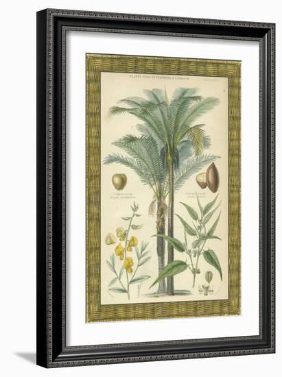 Palms in Bamboo I-Vision Studio-Framed Art Print