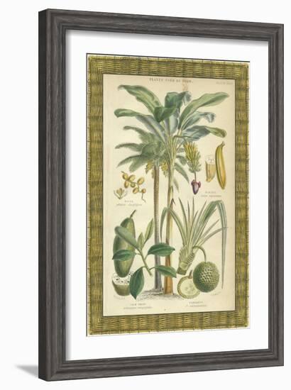 Palms in Bamboo II-Vision Studio-Framed Art Print