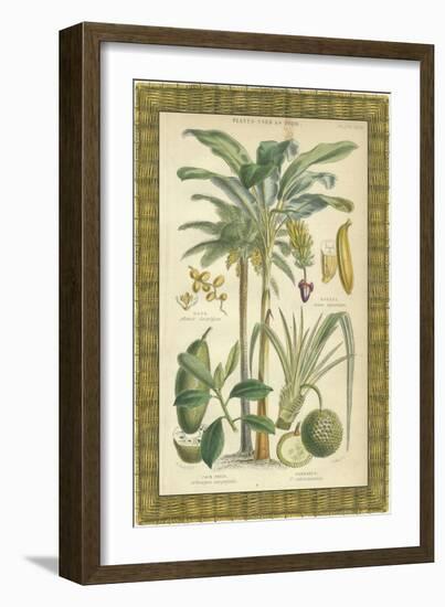 Palms in Bamboo II-Vision Studio-Framed Art Print