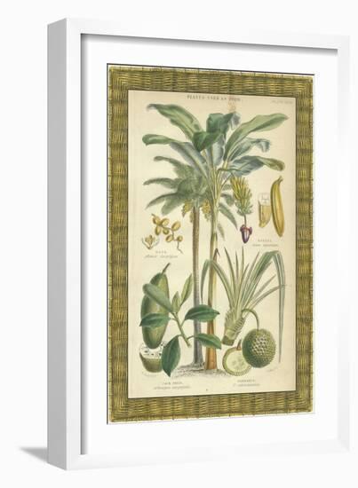 Palms in Bamboo II-Vision Studio-Framed Art Print