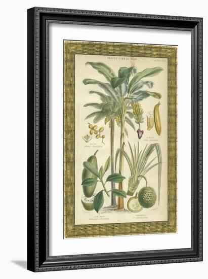 Palms in Bamboo II-Vision Studio-Framed Art Print