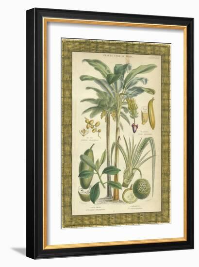 Palms in Bamboo II-Vision Studio-Framed Art Print