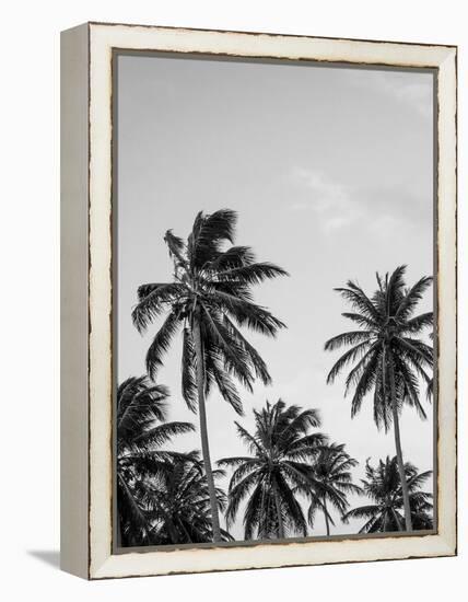 Palms in Grey-Design Fabrikken-Framed Premier Image Canvas