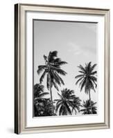 Palms in Grey-Design Fabrikken-Framed Photographic Print