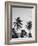 Palms in Grey-Design Fabrikken-Framed Photographic Print