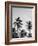 Palms in Grey-Design Fabrikken-Framed Photographic Print