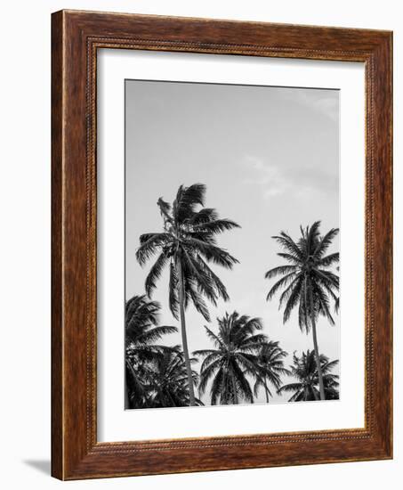 Palms in Grey-Design Fabrikken-Framed Photographic Print