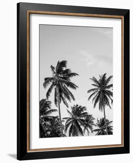 Palms in Grey-Design Fabrikken-Framed Photographic Print