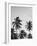 Palms in Grey-Design Fabrikken-Framed Photographic Print