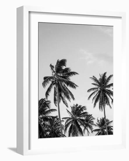 Palms in Grey-Design Fabrikken-Framed Photographic Print