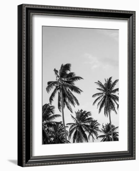 Palms in Grey-Design Fabrikken-Framed Photographic Print