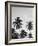 Palms in Grey-Design Fabrikken-Framed Photographic Print