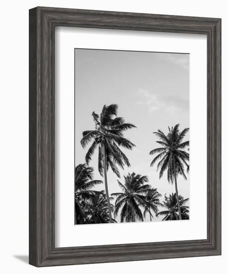 Palms in Grey-Design Fabrikken-Framed Photographic Print