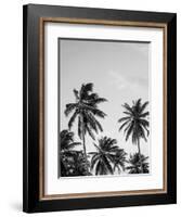 Palms in Grey-Design Fabrikken-Framed Photographic Print