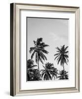 Palms in Grey-Design Fabrikken-Framed Photographic Print