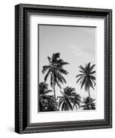 Palms in Grey-Design Fabrikken-Framed Photographic Print