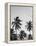 Palms in Grey-Design Fabrikken-Framed Premier Image Canvas