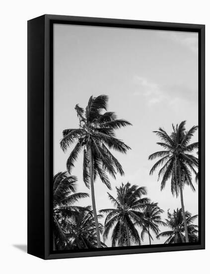 Palms in Grey-Design Fabrikken-Framed Premier Image Canvas