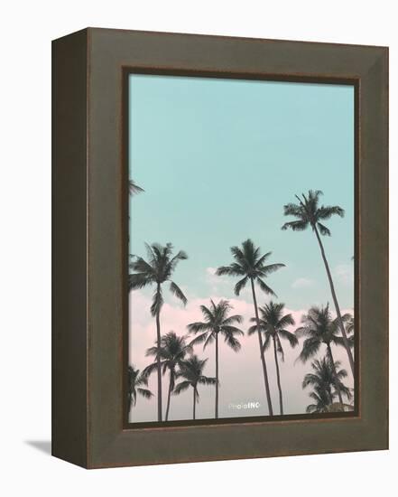 Palms in the City-PhotoINC Studio-Framed Stretched Canvas