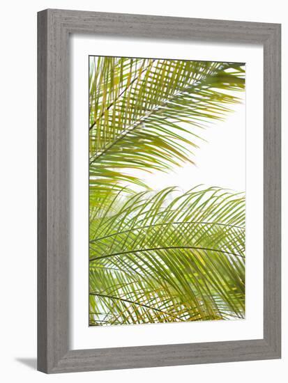 Palms in the Sun I-Karyn Millet-Framed Photo