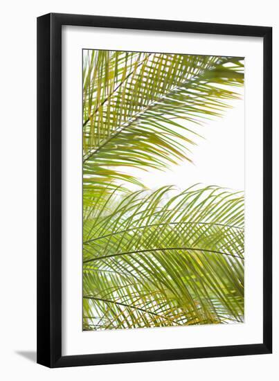 Palms in the Sun I-Karyn Millet-Framed Photo