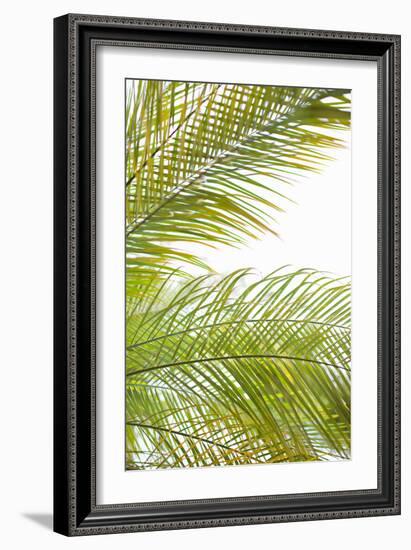 Palms in the Sun I-Karyn Millet-Framed Photo