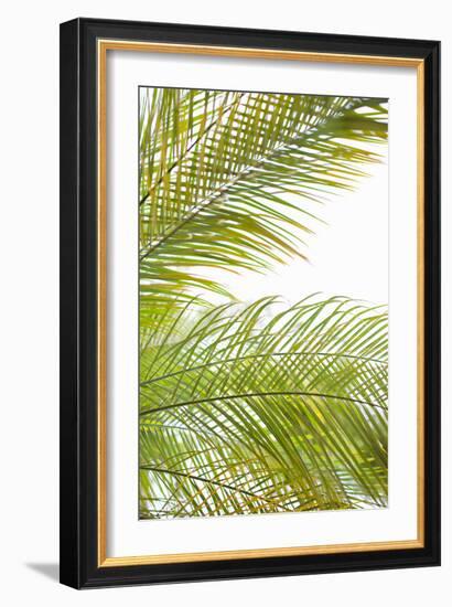 Palms in the Sun I-Karyn Millet-Framed Photo