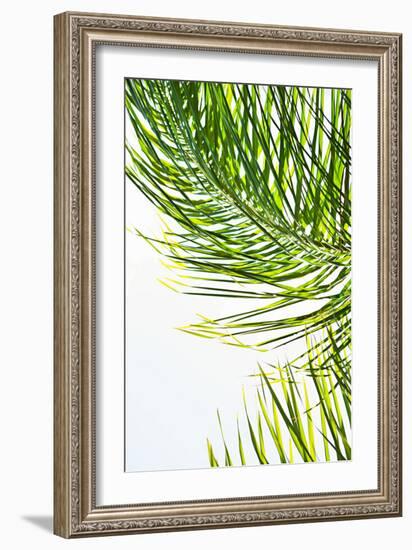 Palms in the Sun II-Karyn Millet-Framed Photo