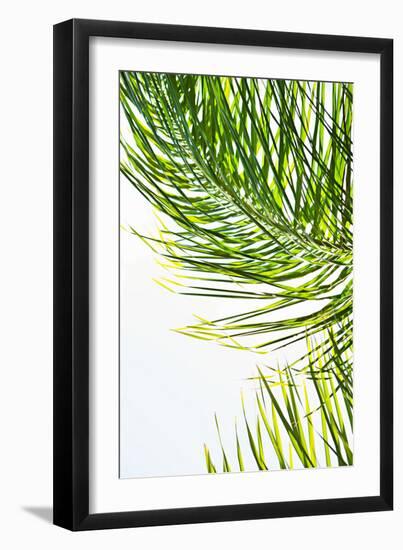 Palms in the Sun II-Karyn Millet-Framed Photo