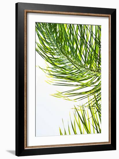 Palms in the Sun II-Karyn Millet-Framed Photo