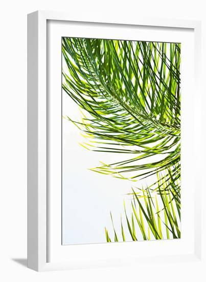 Palms in the Sun II-Karyn Millet-Framed Photo